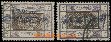 214323 - 1925 Mi.69, 69var, Erb mekkánské šlechty 10Pia fialová /