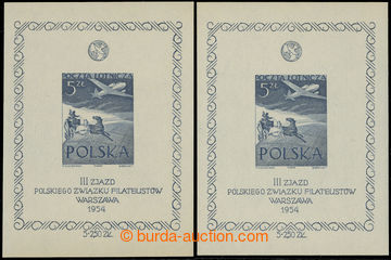 217344 - 1954 Mi.Bl.AI and Bl.AI DP; 2x Air-mail miniature sheet 5Zl 