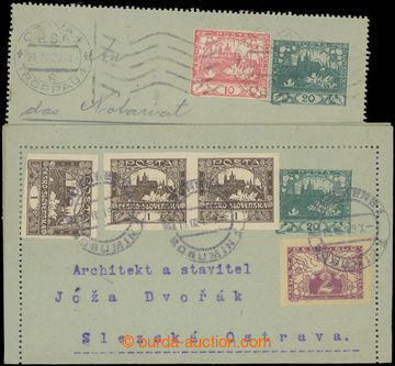 223031 - 1919 CZL1Pa, Hradčany 20h zelená, papír šedomodrý, 2ks,