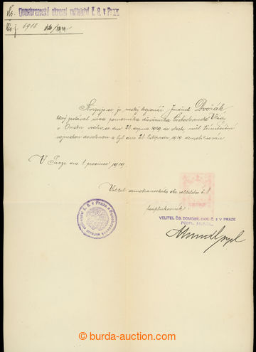 231864 - 1919 RUSSIA - Czechoslovakia / certificate of demobilizaci R