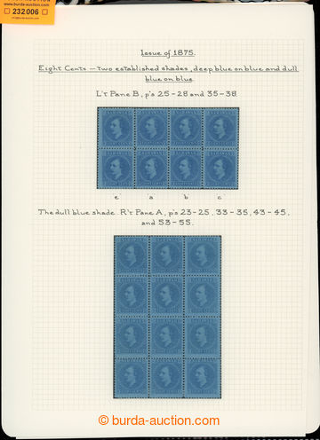 232006 - 1875 SG.6, Brooke 8C blue, 2 pages from specialized collecti