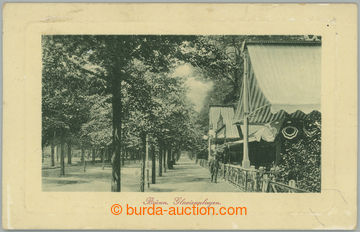 237782 - 1911 BRNO / single-view  B/W postcard Parku Koliště (Glaci