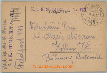 238642 - 1917 DANUBE FLEET / K.u.K.. SPITALSCHIFF No. VIII., violet s