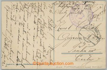 238643 - 1916 K.u.K.. FLOTTENFLUGABTEILUNG KUMBOR, postcard with viol