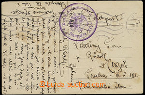 23901 - 1914 Dampfer XIV, round violet cancel. with eagle + MC Pola 