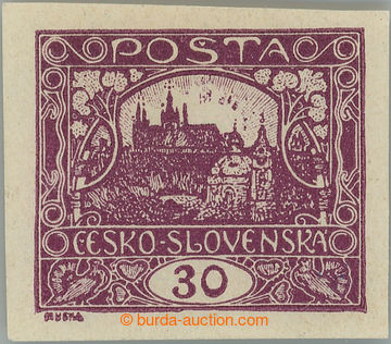 241862 -  Pof.13Na, 30h dark violet; hinged, exp. Vrba and Kessler, s