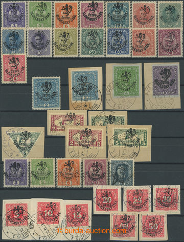 242809 - 1918 Budějovice issue (Horner's overprint), selection of 52