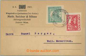 243523 - 1919 commercial PC with imperforated Hradčany 5h blue-green
