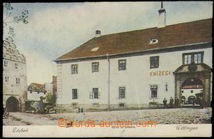 25173 - 1919 TŘEBOŇ - brewery, color Us, preserved.