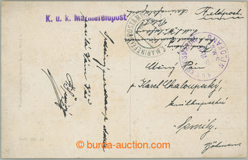 258460 - 1915 S.M.S. WILDFANG, round violet cancel. with date 16.VI.1