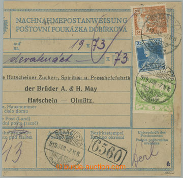 261757 - 1919 EARLY USAGE OF HRADČANY ISSUE IN SLOVAKIA / larger par