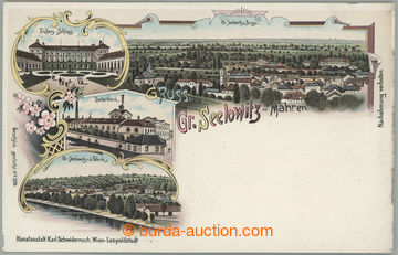 263206 - 1890 ŽIDLOCHOVICE (Gr. Seelowitz) - color lithography, cast