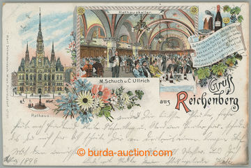 263288 - 1896 LIBEREC (Reichenberg) - color lithography, town-hall, i