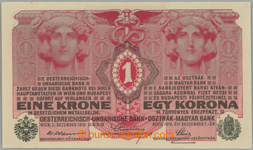 263815 - 1916 Ba.RU1, 1 Koruna 1916, set 1044; very nice