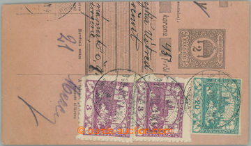 271331 - 1919 SLOVENSKO / ústřižek poštovní průvodky vyfr. mj. 