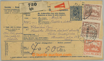 273693 - 1919 celá prošlá uherská balíková průvodka malého fo