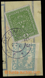 30539 - 1919 výstřižek z pošt. průvodky vyfr. mj. rakouskou zn.
