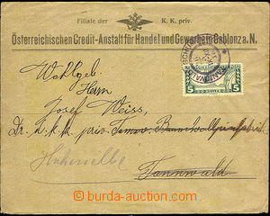35374 - 1918 spěšný tiskopis vyfr. zn. 5h obdélník, Mi.220, DR 