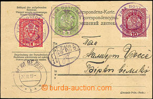 37562 - 1919 WEST UKRAINE  Austrian service receipt in/at German - P