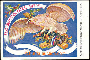 43881 - 1922 Slet Orelstva v Brně, barevná kreslená pohlednice, n