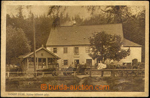 44356 - 1938? HORNÍ DUBÍ - bar bílinské saw-mill (cars, carriage