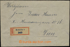 49759 - 1920 Reg letter to Vienna, on reverse with Pof.140 2x, both 