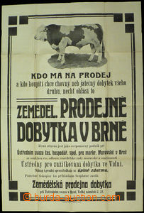 51656 - 1925 poster Agricultural shop cattle in Brno on/for výkup c