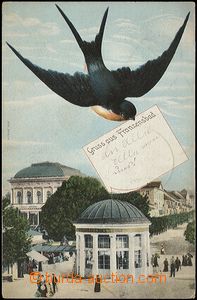 57252 - 1906 Františkovy Lázně (Franzensbad) - collage, ptáček 