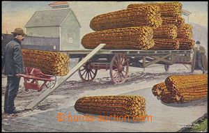 57865 - 1909 kukuřice, promotional collage, treatment/loading giant