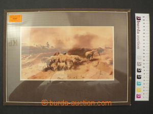 63267 - 1926 KAHOVEC: Ovečky na pastvě, 26x15cm, akvarel, zasklen�