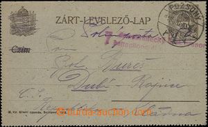64680 - 1919 CPŘ56, maďarská zálepka 20f bez okrajů, DR Pozsony