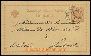 71454 - 1879 PC Mi.P1, sent to Laibachu, postmark Etappen-Postamt No