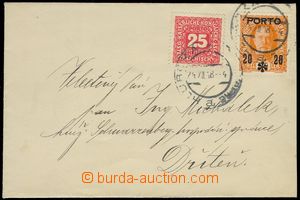 75532 - 1918 letter provisional franked with. postage-due Austrian s