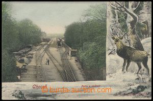 79518 - 1905 CHOCEŇ - collage, railway-station, deer in winter; lon