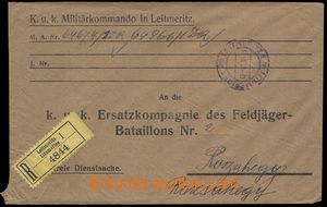 83108 - 1918 Reg letter liberated from postage and registered, matte