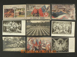 84436 - 1910-20 MOTIV / SOKOL  sestava 14ks pohlednic, 3x prošlé, 