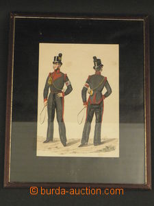 84690 - 1880? POSTAL HISTORY  Austrian post. úředník in uniform, 