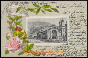 85733 - 1902 KARLOVY VARY (Karlsbad) - okénková koláž, růže, t