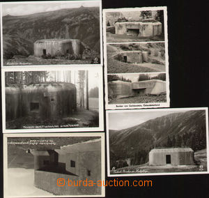 88917 - 1938 sestava 5ks fotopohlednic, Goldenstein (Branná), Krkon