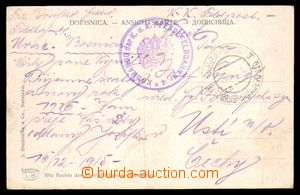 90202 - 1915 pohlednice zaslaná FP do Čech, DR K.u.K. BAHNPOST II.