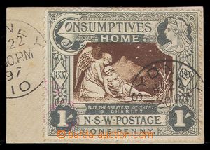 92439 - 1898 Mi.1, Charity stmp., CDS Sydney/ 22.II.97, on small cut