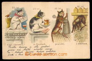 94259 - 1899 barevná litografie, vývojová stádia kočky, DA, nep