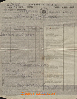 95916 - 1919 ČS. LEGIE  nákladní list ze stanice Sinarskaja (
